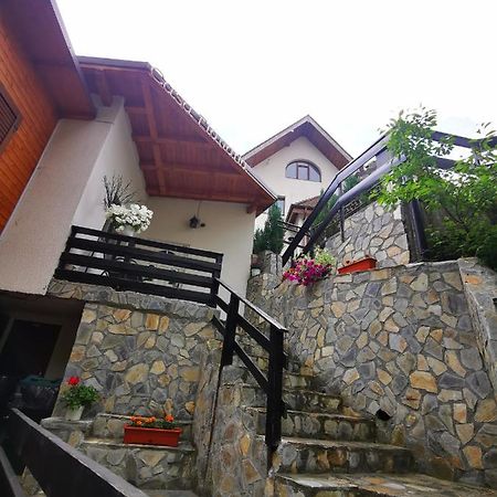 Casa Flandria Hotel Sinaia Luaran gambar
