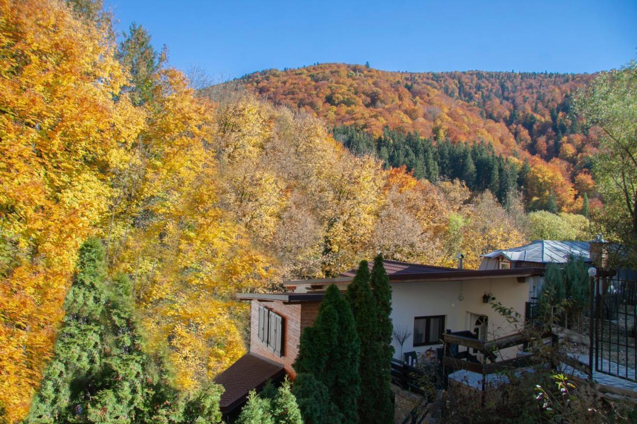 Casa Flandria Hotel Sinaia Luaran gambar