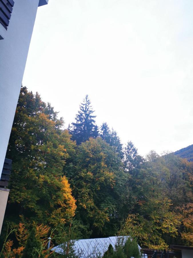 Casa Flandria Hotel Sinaia Luaran gambar