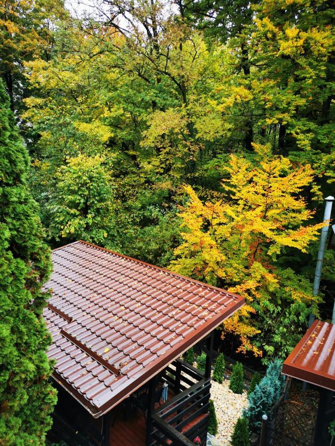 Casa Flandria Hotel Sinaia Luaran gambar