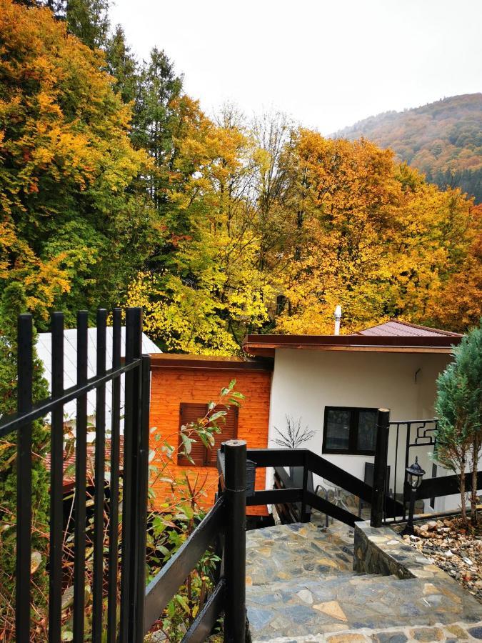 Casa Flandria Hotel Sinaia Luaran gambar