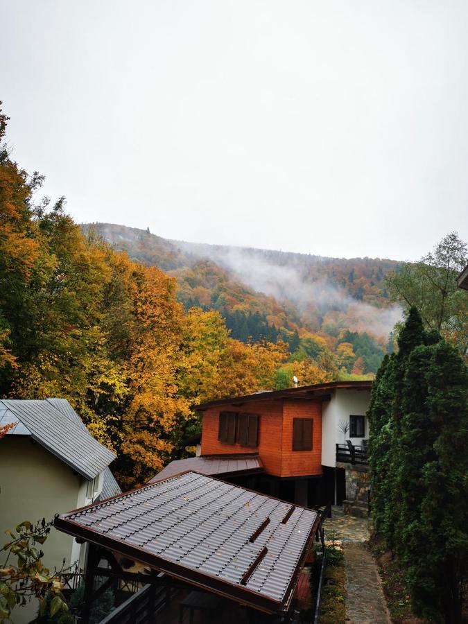 Casa Flandria Hotel Sinaia Luaran gambar