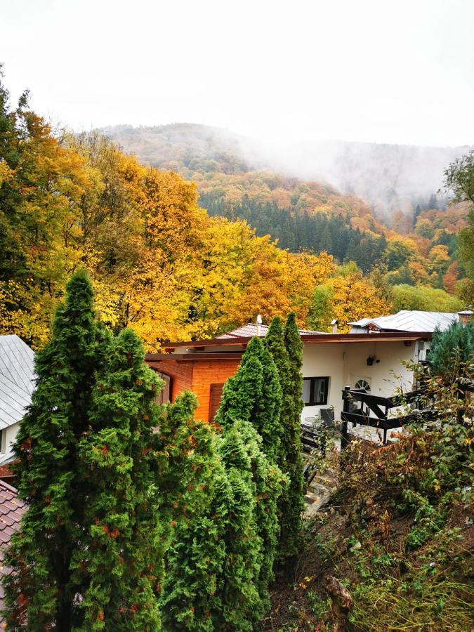 Casa Flandria Hotel Sinaia Luaran gambar