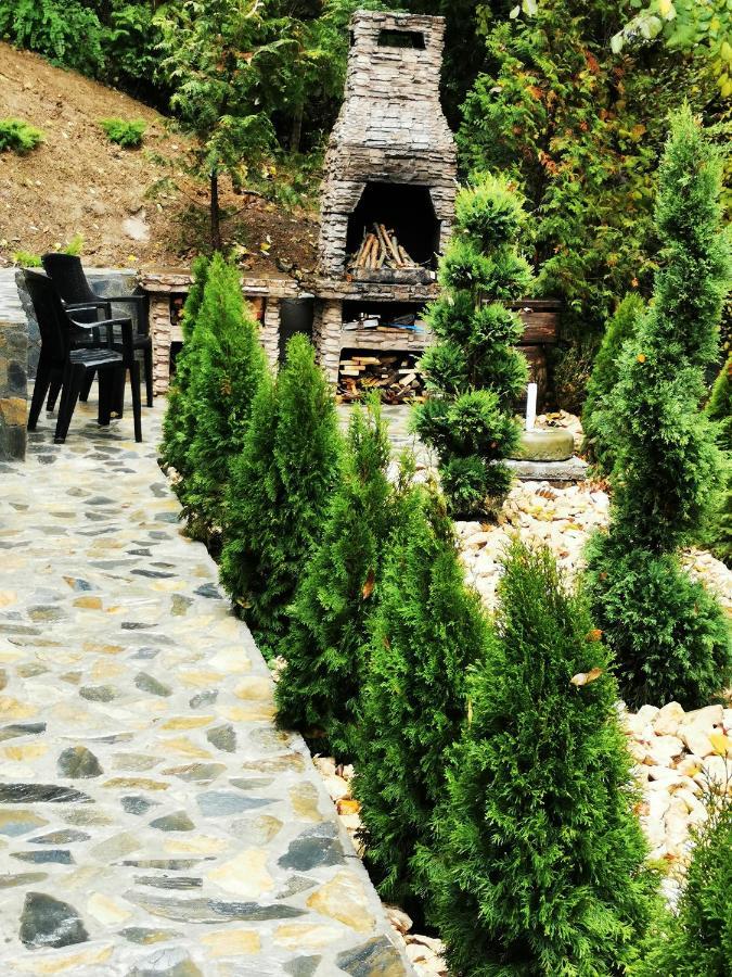 Casa Flandria Hotel Sinaia Luaran gambar