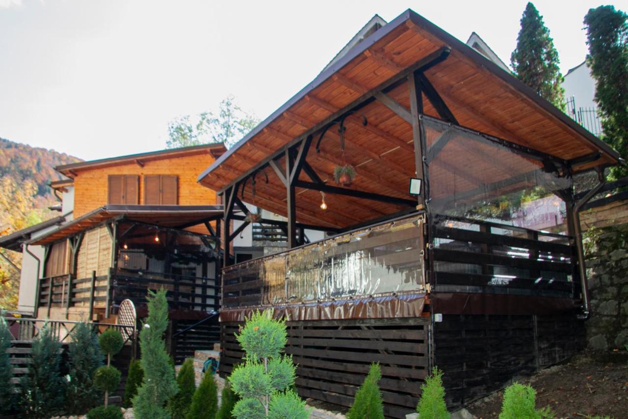 Casa Flandria Hotel Sinaia Luaran gambar