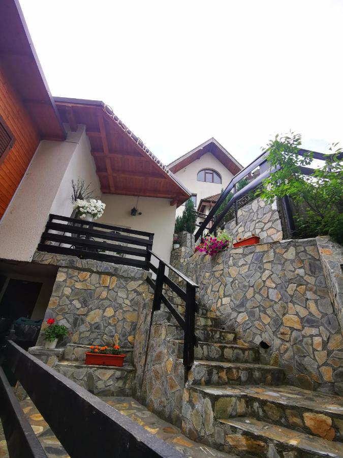 Casa Flandria Hotel Sinaia Luaran gambar