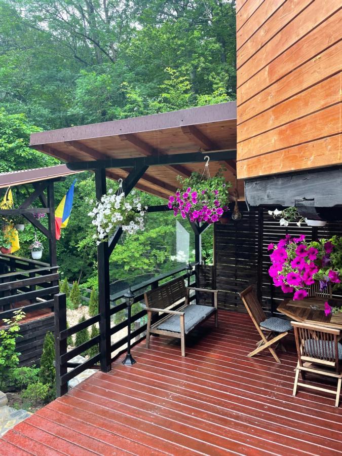 Casa Flandria Hotel Sinaia Luaran gambar