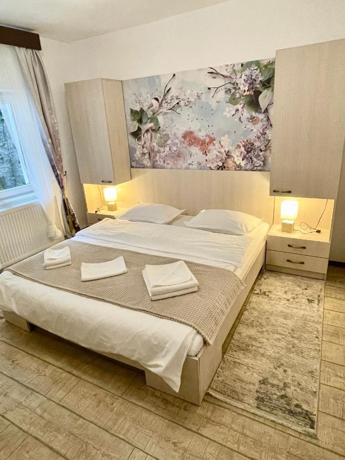 Casa Flandria Hotel Sinaia Luaran gambar