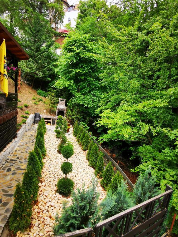 Casa Flandria Hotel Sinaia Luaran gambar