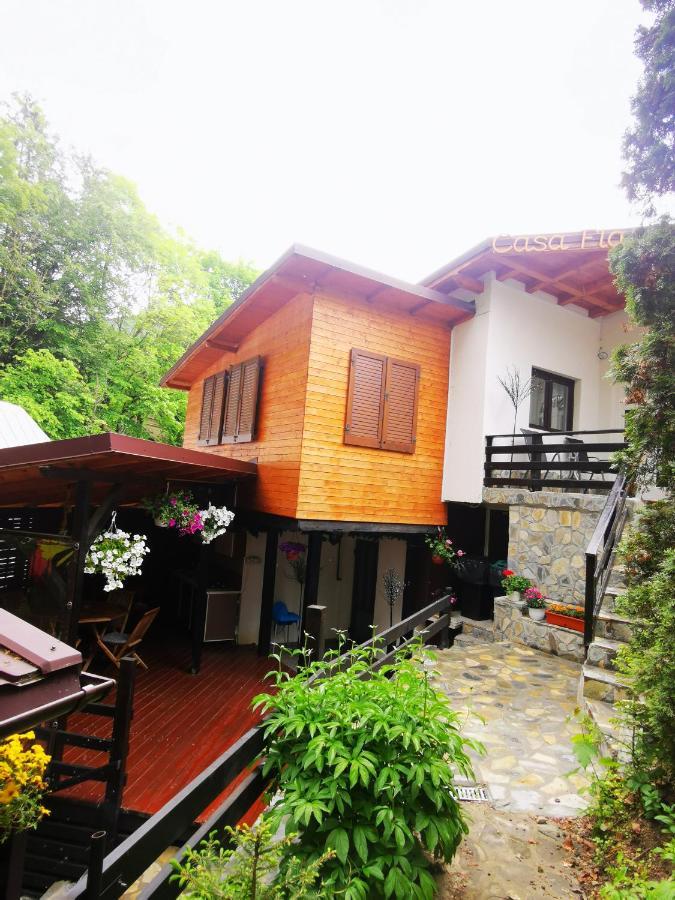 Casa Flandria Hotel Sinaia Luaran gambar