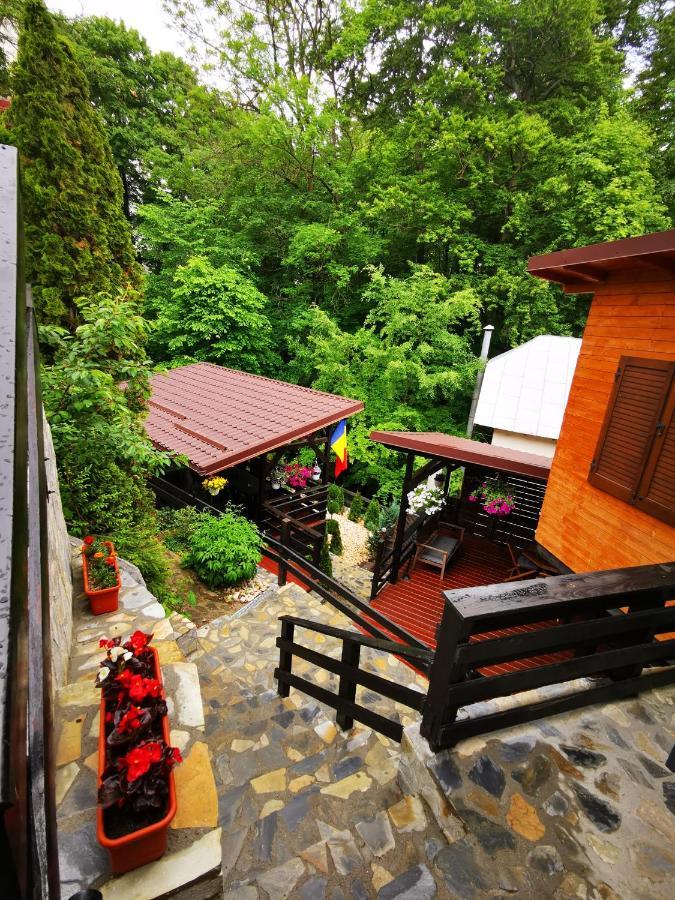 Casa Flandria Hotel Sinaia Luaran gambar