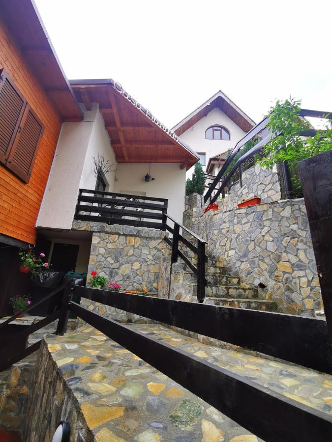 Casa Flandria Hotel Sinaia Luaran gambar