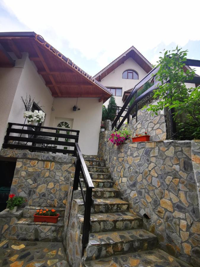 Casa Flandria Hotel Sinaia Luaran gambar