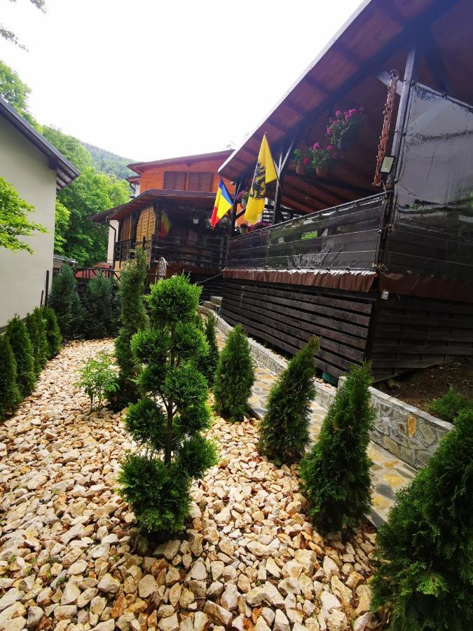 Casa Flandria Hotel Sinaia Luaran gambar