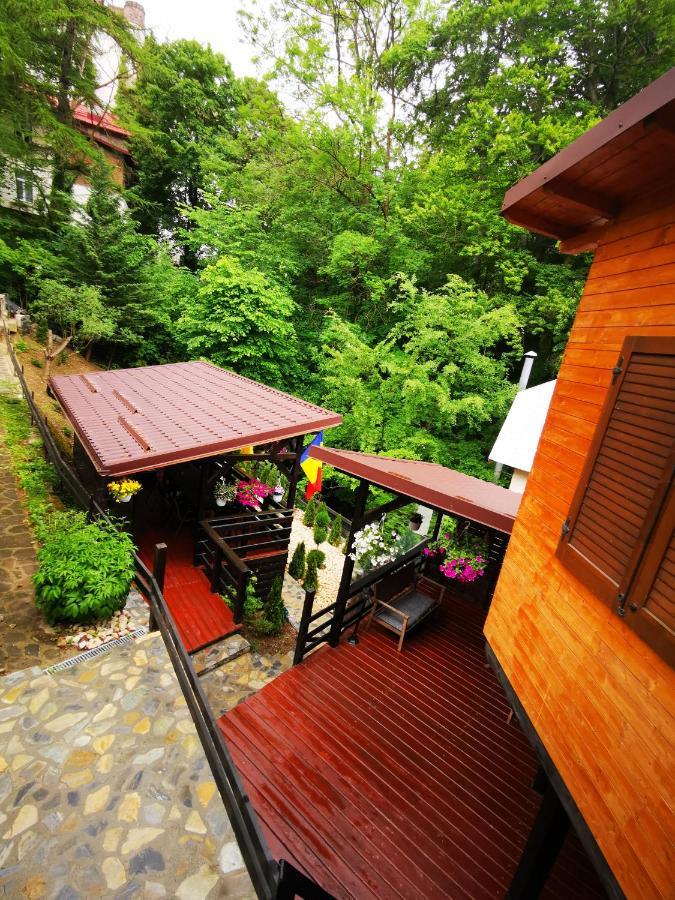 Casa Flandria Hotel Sinaia Luaran gambar