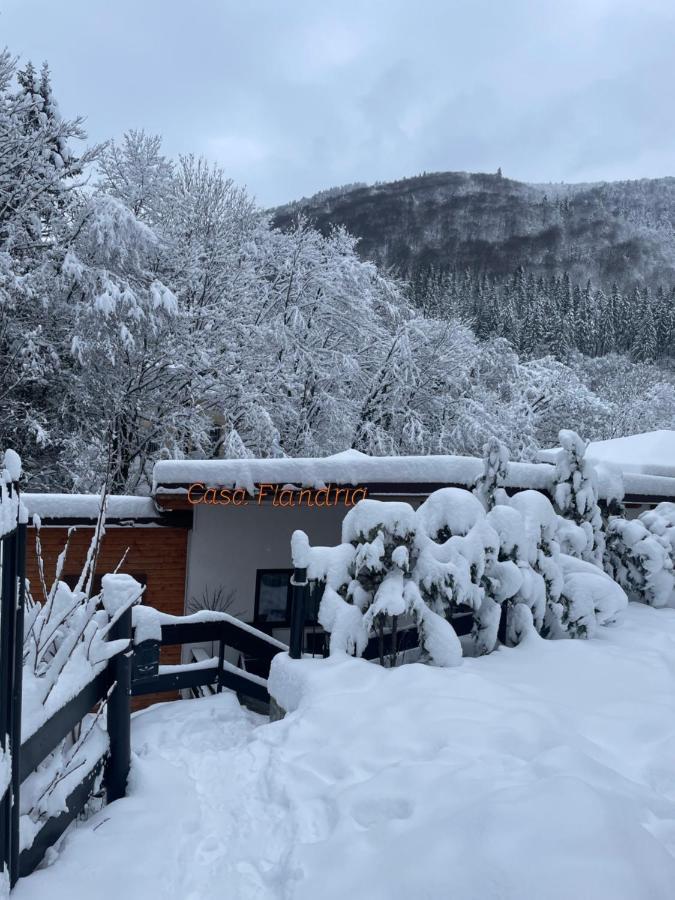 Casa Flandria Hotel Sinaia Luaran gambar